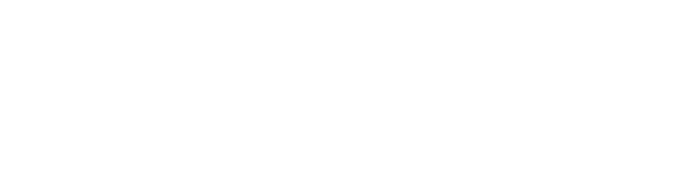 ES_Financiado_por_la_Unión_Europea_RGB_WHITE_Outline